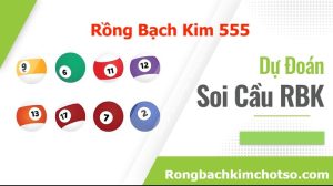 Rồng bạch kim 555