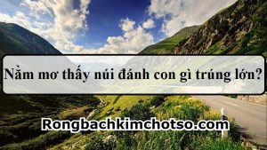 Nằm mơ thấy núi đồi đánh con gì