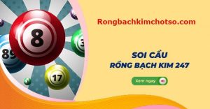 Rồng bạch kim 247