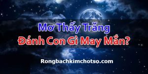 Mơ mặt trăng đánh con gì