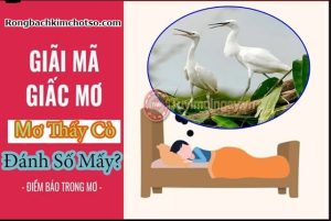 Mơ thấy cò đánh số mấy