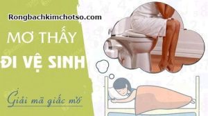 Mơ thấy đi vệ sinh