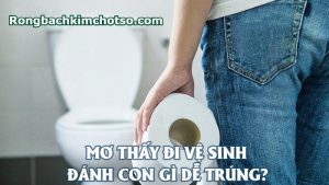 Mơ thấy đi vệ sinh đánh con gì