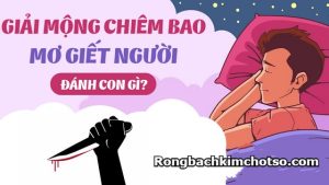 Mơ thấy giết người đánh con gì?