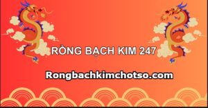 Rồng bạch kim 247 chính xác