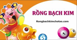 Rồng bạch kim 247 mb