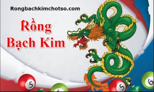 Rồng bạch kim 247 hôm nay