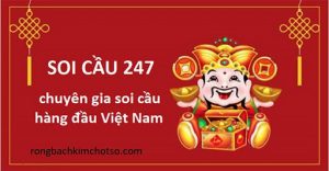 Soicau247 miễn phí uy tín