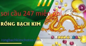 Soi cầu 247 rồng bạch kim miễn phí 100