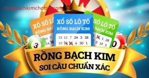 Soi cầu 247 rồng bạch kim