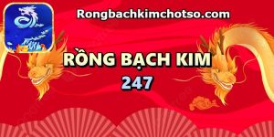 Soi cầu Rồng bạch kim 247